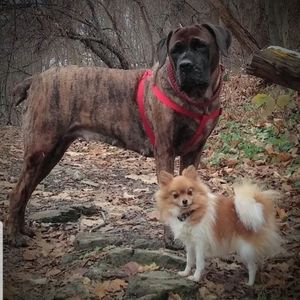 Meet your Posher, Karen